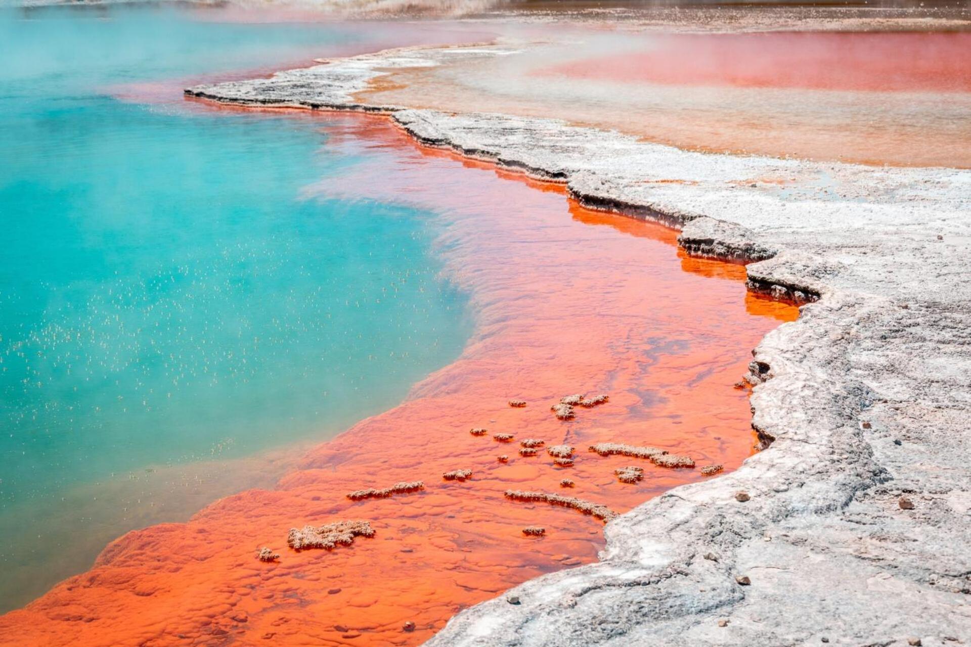 Tasman Holiday Parks - Rotorua Exteriér fotografie
